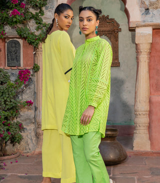 Parrot Green Chikankari co-ord set